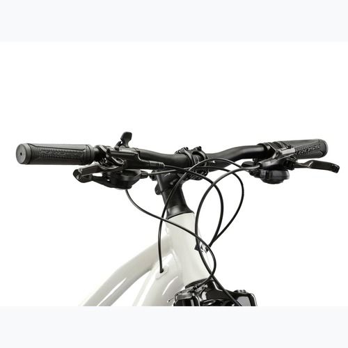 Women's mountain bike KROSS Lea 5.0 29" grey/navy/shine