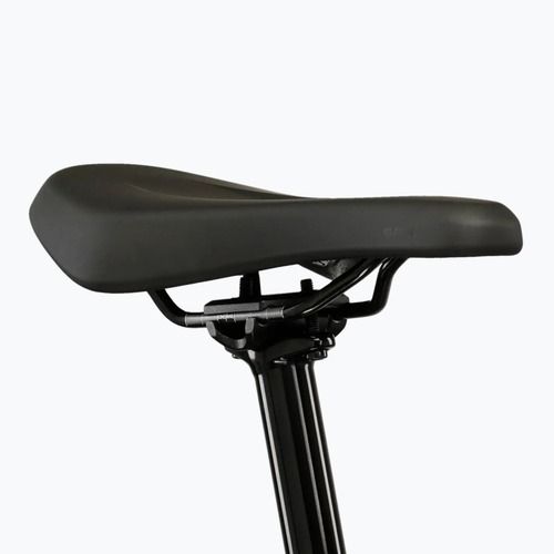 Electric bike KROSS Influx Hyb 4.0 29 el. 800 Mh green/khaki/matte