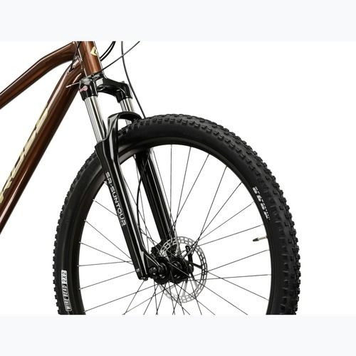 Mountain bike KROSS Hexagon 5.0 29" brown/gold/shine