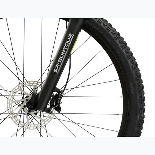 Mountain bike KROSS Hexagon 5.0 29" green/green/shine