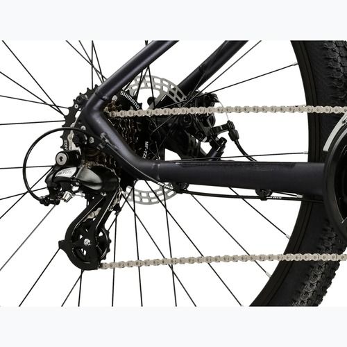 Mountain bike KROSS Hexagon 2.0 29" green/silver/shine