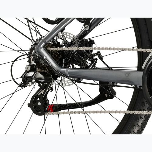 Mountain bike KROSS Hexagon 2.0 EQ 29" grey/dark grey/shine
