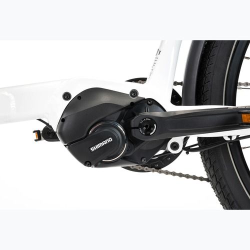 Electric bike KROSS E-Cargo Space Platform el. white/black/shine