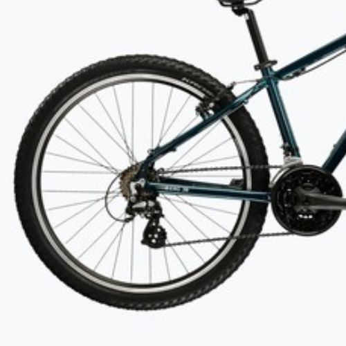 Junior bike KROSS Berg Jr turquoise/white/shine