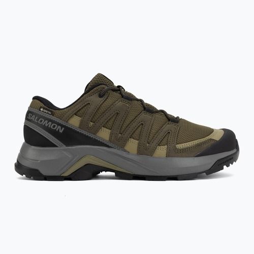 Men's trekking boots Salomon X-Adventure Recon Waterproof olvnig/martini