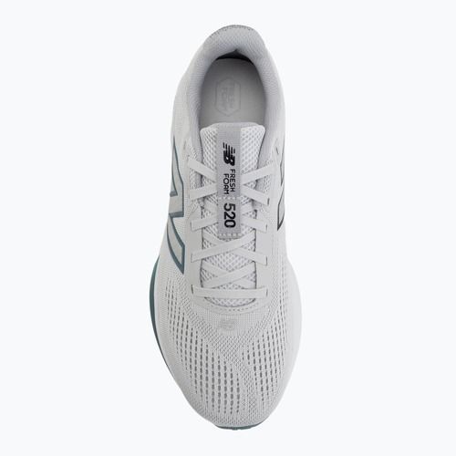 Men's running shoes New Balance Fresh Foam 520's V9 grey matter/raincloud/salt water