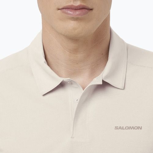 Men's polo shirt Salomon Trackline Polo silver cloud