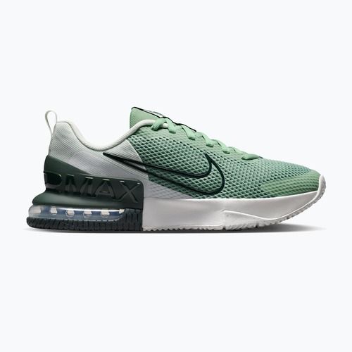 Men's training shoes Nike Air Max Alpha Trainer 6 steam/spruce aura/off white/black spruce
