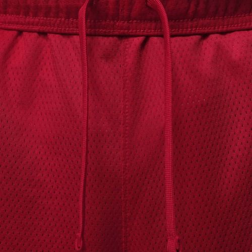 Men's shorts Nike Jordan Sport Essentials Dri-Fit gym red