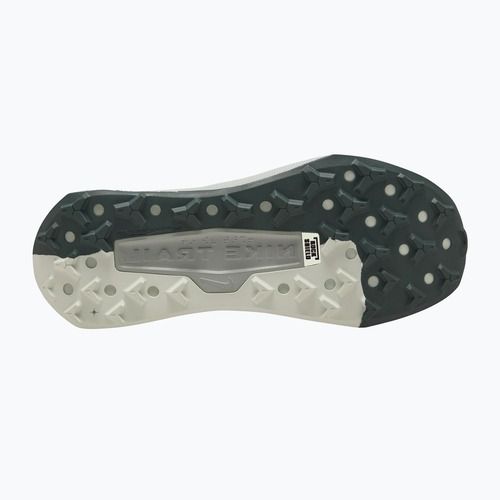 Men's running shoes Nike Wildhorse 10 spruce fog/sea glass/black spruce