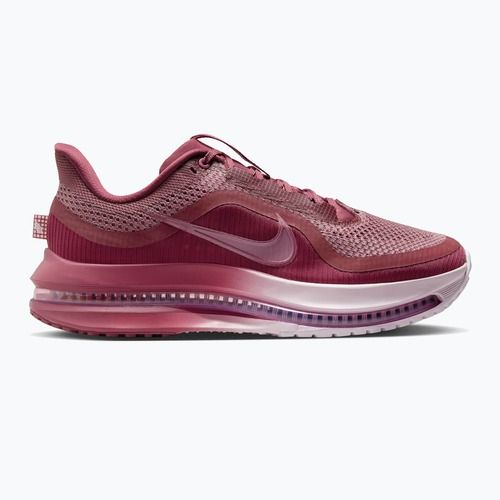 Women's running shoes Nike Pegasus Premium pink smoke/light magenta/pink smoke