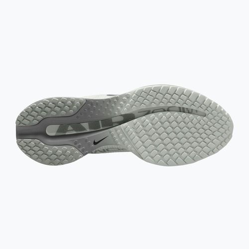 Women's running shoes Nike Pegasus Premium summit white/grey fog/metallic silver