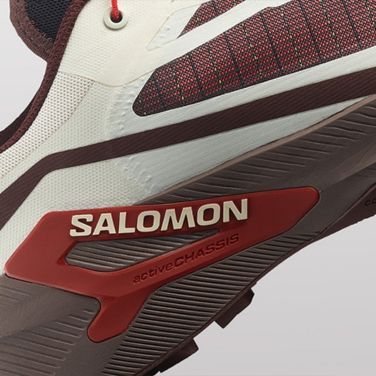 Men's running shoes Salomon Genesis 2 urban chic/black