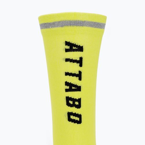 ATTABO Maxis Visible Pro Cycling Socks 3 pairs green