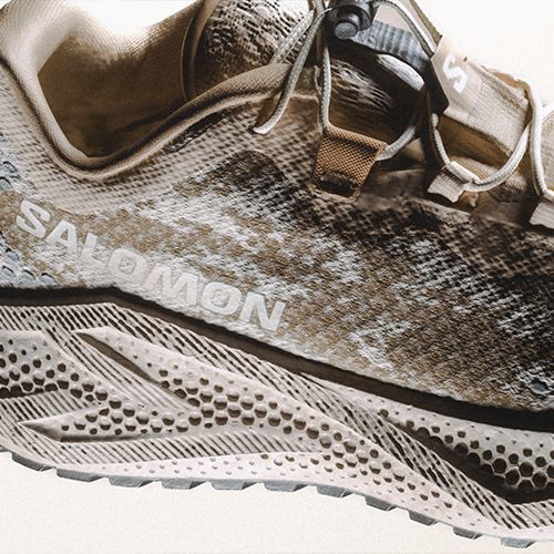 Women's running shoes Salomon Aero Glide 4 GRVL tapioca/desert tan