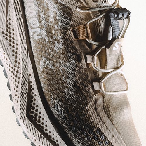 Women's running shoes Salomon Aero Glide 4 GRVL tapioca/desert tan