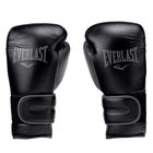 Everlast Power Lock 2 Premium boxing gloves black EV2272