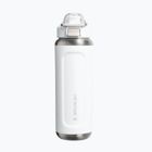 Thermal bottle Stanley Classic Wellspring frost
