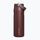 Thermal bottle Stanley IceFlow Flip Straw 710 ml coffee