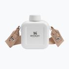 Water bottle Stanley The Next X Nature Canteen 740 ml hammertone frost