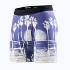 Men's Stance In Paradise Brief boxers blue