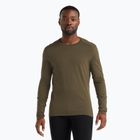 Men's thermal top icebreaker 200 Oasis Crewe loden