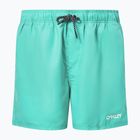 Oakley Beach Volley 16" green men's swim shorts FOA4043107GR