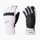 Ski gloves Oakley Roundhouse Short Lunar Rock