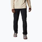 Columbia Silver ridge II cargo 010 black 1794901 men's trekking trousers