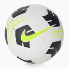 Nike Park Team football CU8033-101 size 5