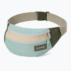 Dakine Classic Hip forest pond kidney sachet