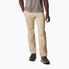 Men's trekking trousers Columbia Silver Ridge Utility ancient fossil