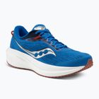 Men's Saucony Triumph 21 cobalt/silver running shoes