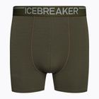 Men's thermal boxer shorts icebreaker Anatomica Loden 103029