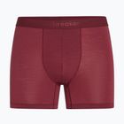 Men's thermal boxers icebreaker Anatomica Boxers port