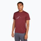 Men's Icebreaker Merino 150 Tech Lite Southern Constellation port trekking shirt