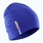 Salomon winter beanie Graphic surf the web