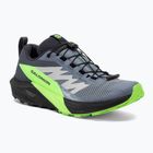 Salomon Sense Ride 5 GTX men's running shoes flint stone/black/green gecko