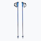 Salomon Polar Pro race ski poles blue