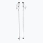 Salomon Polar grey violet ski poles
