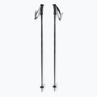 Salomon Polar Access ski poles black