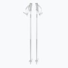 Salomon Polar Access ski poles white
