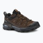 Men's trekking boots Salomon X ULTRA 360 LTR GTX dark earth/delicioso/ sharkskin