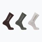 Salomon Everyday Crew 3 pairs silver cloud/sedona sage socks