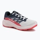 Women's running shoes Salomon Alphaglide GTX lunar rock/blue night/rouge red