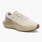 Men's running shoes Salomon Drx Defy GRVL vanilla ice/green haze/white pepper