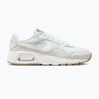 Women's shoes Nike Air Max SC pearl pink/pink foam/light magenta/sail