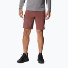 Columbia Titan Pass men's trekking shorts brown 1886441640