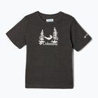 Columbia Valley Creek Graphic men's trekking shirt grey 1989781012