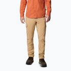 Men's trekking trousers Columbia Skien Valley Cargo canoe
